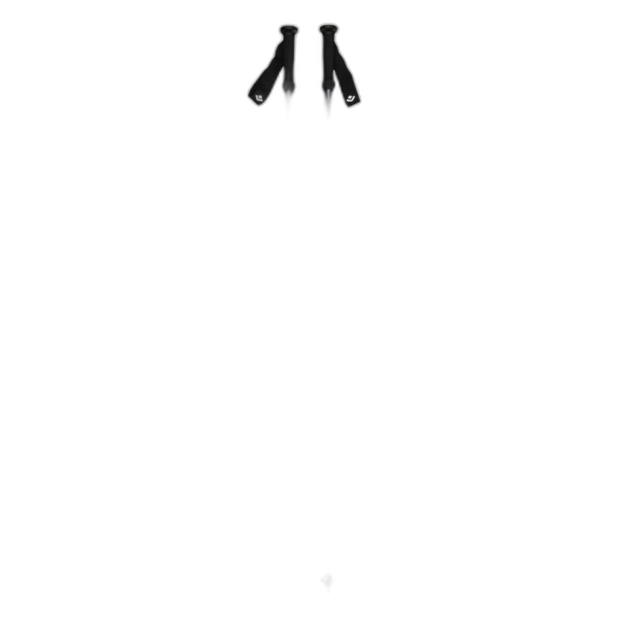 Kije Black Diamond Explorer 2 Trekking