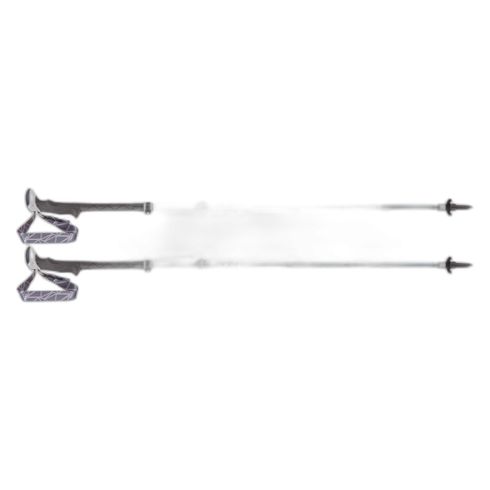 Kije LEKI Micro Vario Carbon Antishock