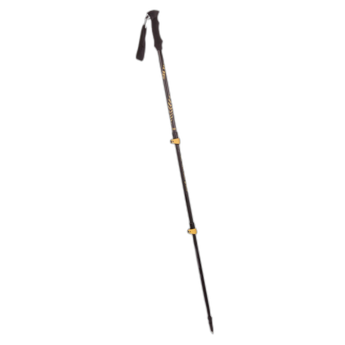 Kije VIKING Teho /  czarny
