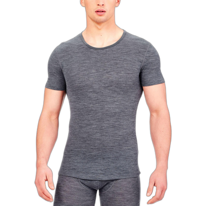 Koszulka męska ICEBREAKER Anatomica Rib SS 103602 /  szary