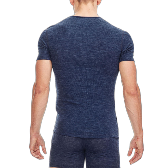 Koszulka męska ICEBREAKER Anatomica Rib SS 103602 /  niebieski