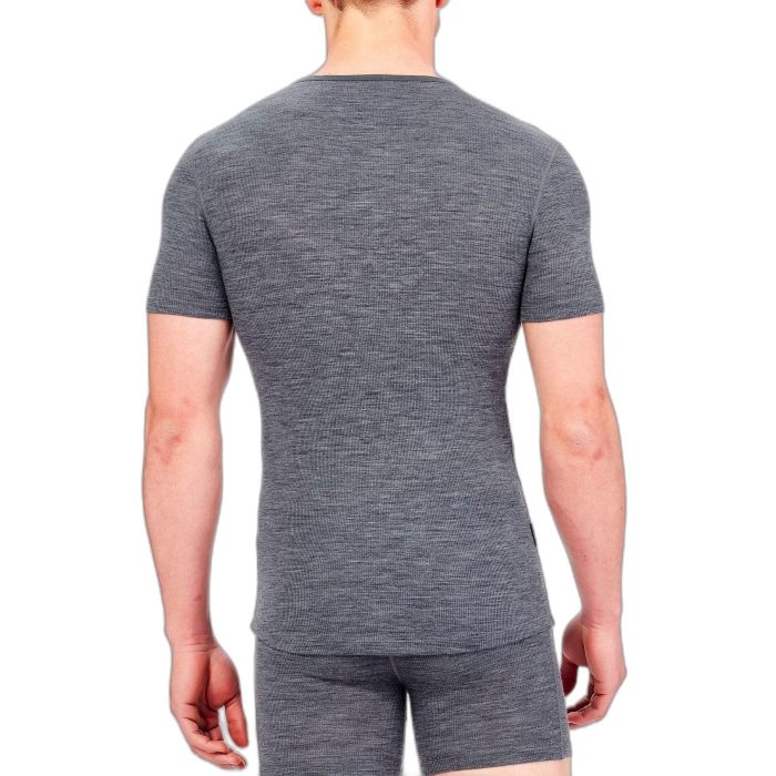 Koszulka męska ICEBREAKER Anatomica Rib SS 103602 /  szary