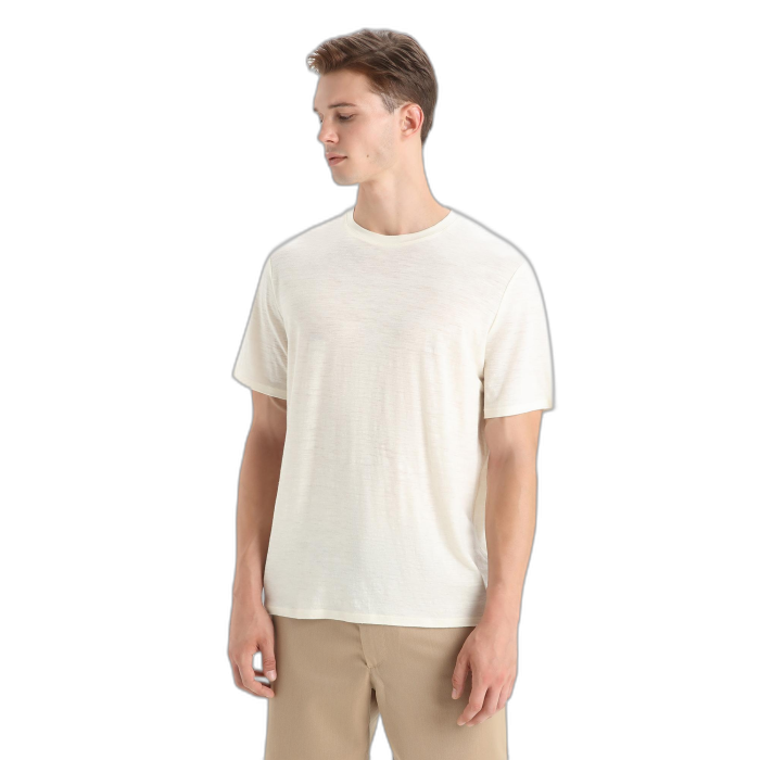 Koszulka męska ICEBREAKER Merino Linen SS 56OQ /  biały
