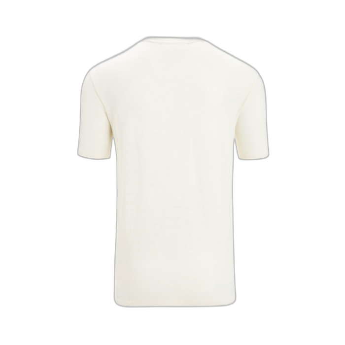 Koszulka męska ICEBREAKER Merino Linen SS 56OQ /  biały