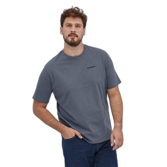 Koszulka męska PATAGONIA P-6 Logo S/S /  szary