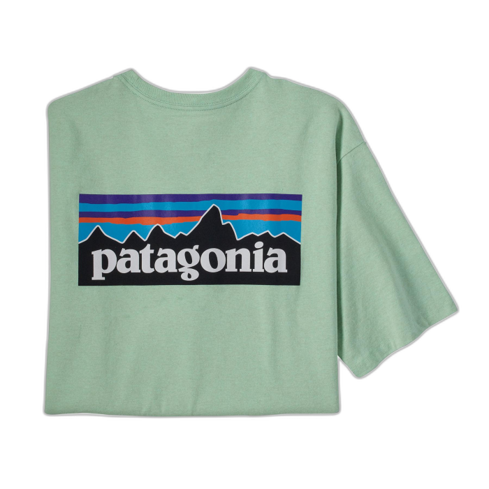 Koszulka męska PATAGONIA P-6 Logo S/S /  zielony