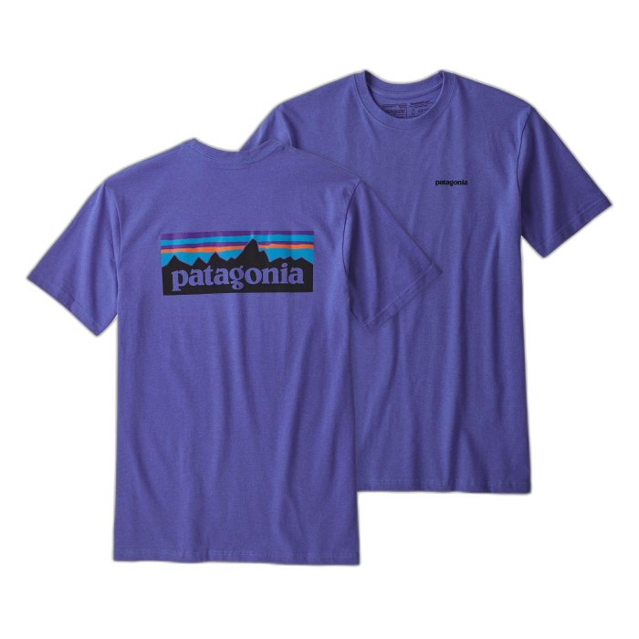 Koszulka męska PATAGONIA P-6 Logo S/S /  niebieski