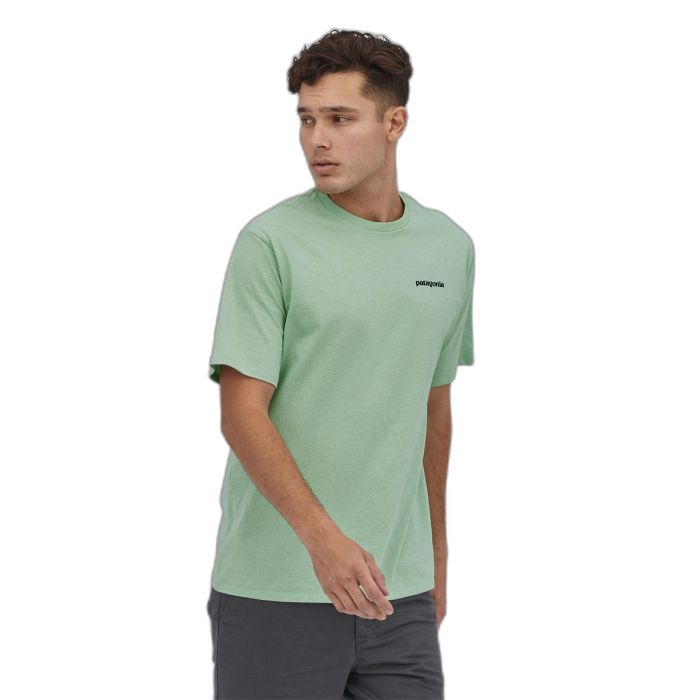 Koszulka męska PATAGONIA P-6 Logo S/S /  zielony