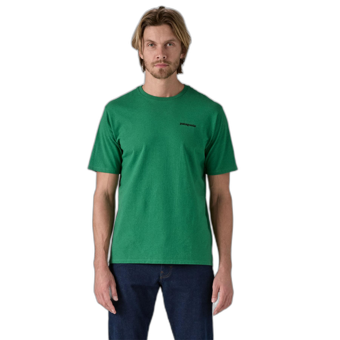 Koszulka męska PATAGONIA P-6 Logo S/S /  zielony