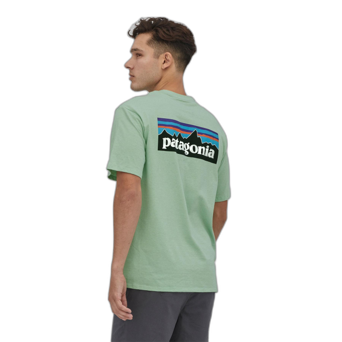 Koszulka męska PATAGONIA P-6 Logo S/S /  zielony