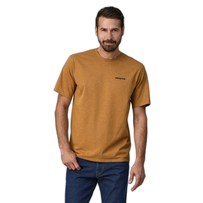 Koszulka męska PATAGONIA P-6 Logo S/S /  brązowy