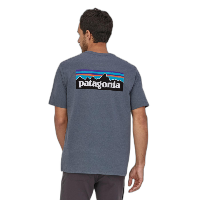 Koszulka męska PATAGONIA P-6 Logo S/S /  szary