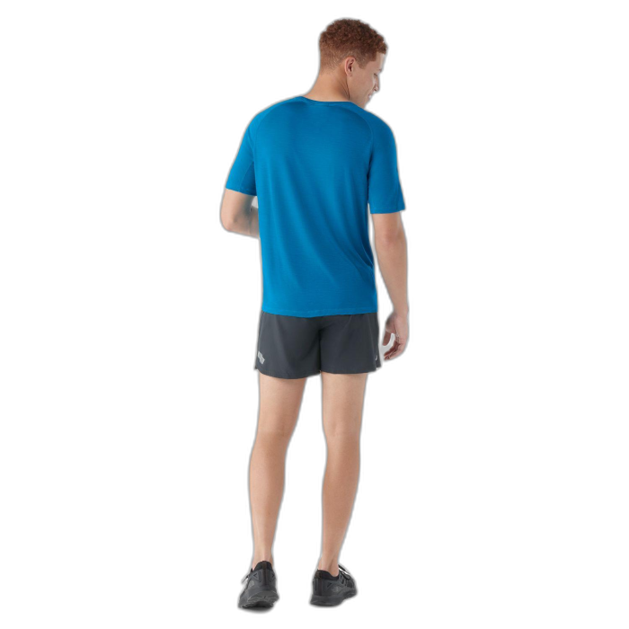 Koszulka Smartwool 16948 Merino Sleeve Tee /  niebieski