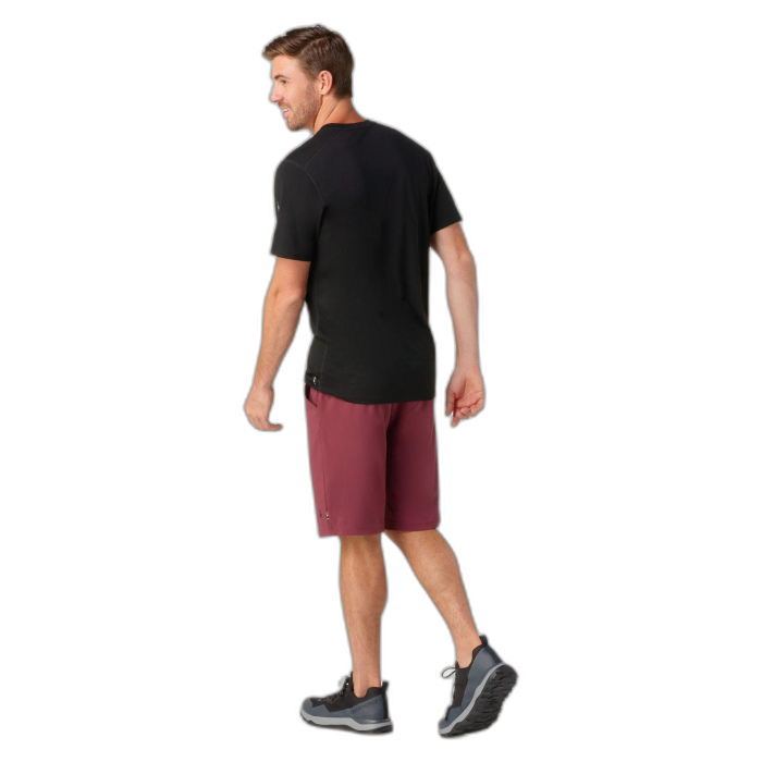 Koszulka Smartwool 16948 Merino Sleeve Tee /  czarny