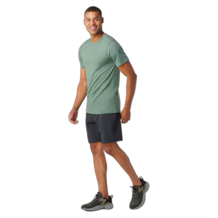 Koszulka Smartwool 16948 Merino Sleeve Tee /  zielony