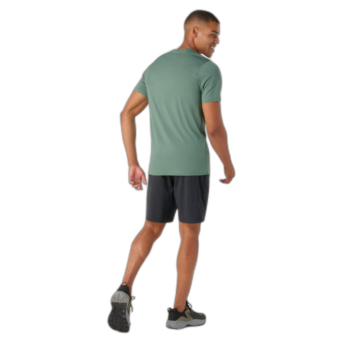 Koszulka Smartwool 16948 Merino Sleeve Tee /  zielony