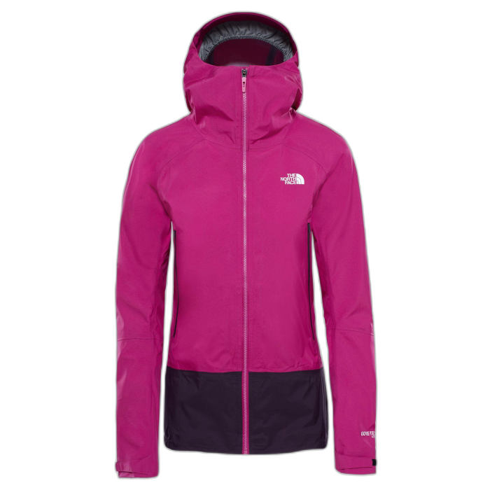 Kurtka damska THE NORTH FACE Shinpuru II GTX /  różowy
