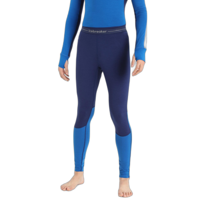 Leginsy męskie ICEBREAKER 260 ZoneKnit 56HG /  wielokolorowy