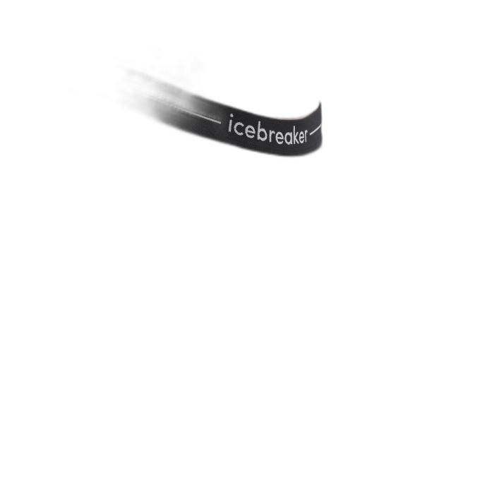 Leginsy męskie ICEBREAKER ZoneKnit 125 56H5 /  czarny
