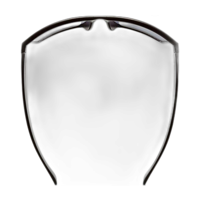 Okulary UVEX LGL 29 /  czarny