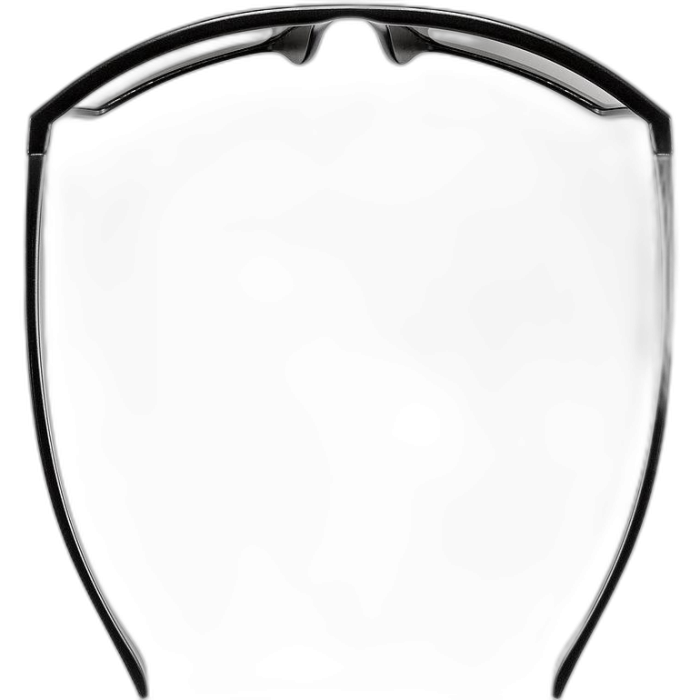 Okulary UVEX LGL 29 /  czarny