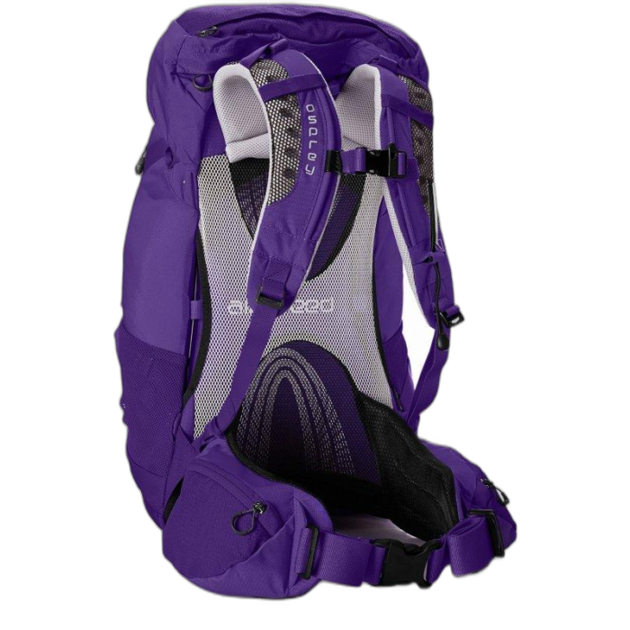 Plecak OSPREY Sirrus 36 WS/WM /  fioletowy