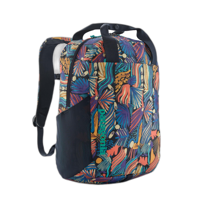 Plecak PATAGONIA Atom Tote 20 /  wielokolorowy