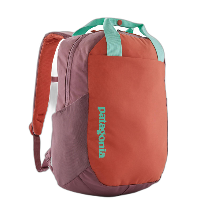 Plecak PATAGONIA Atom Tote 20 /  wielokolorowy