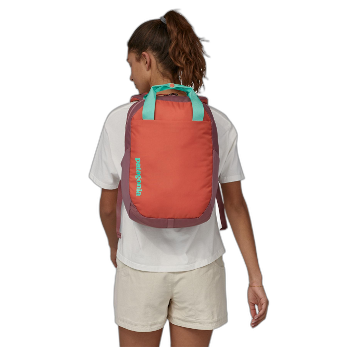 Plecak PATAGONIA Atom Tote 20 /  wielokolorowy