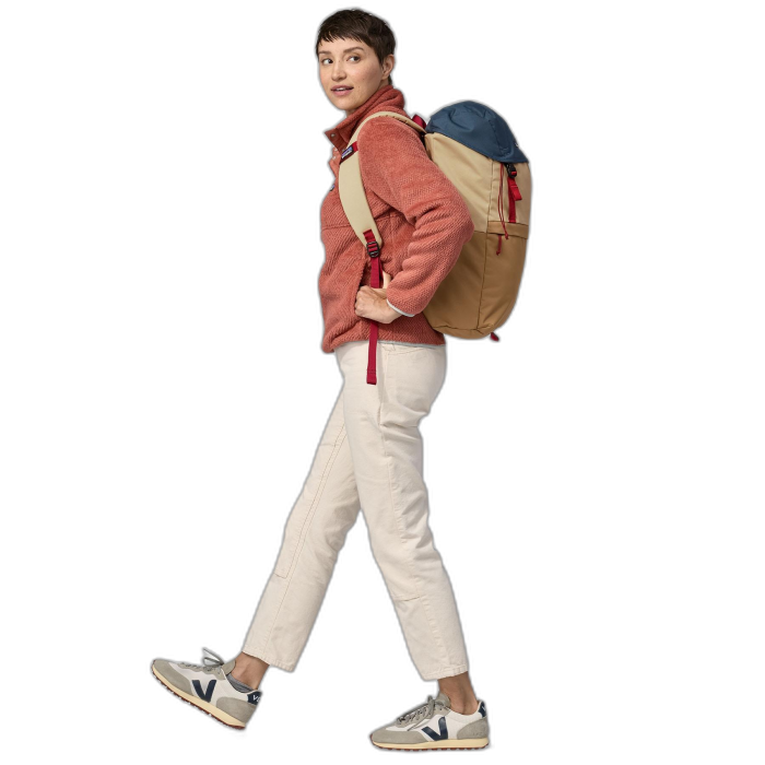 Plecak PATAGONIA Fieldsmith Lid /  wielokolorowy