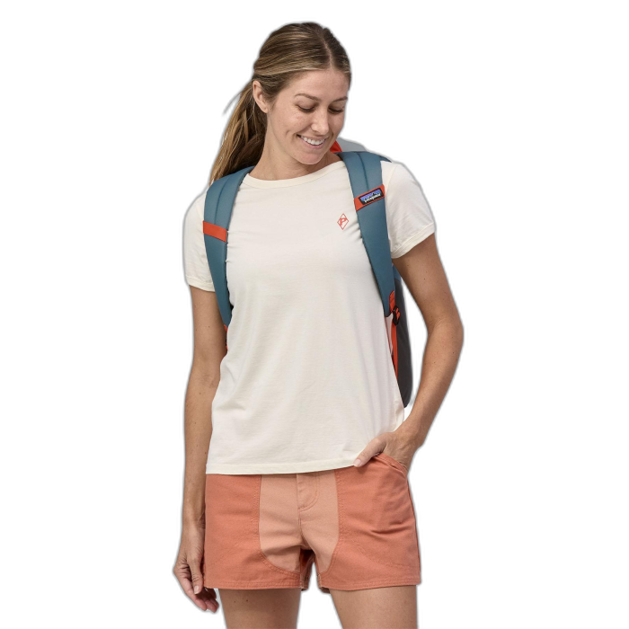 Plecak PATAGONIA Fieldsmith Linked /  wielokolorowy