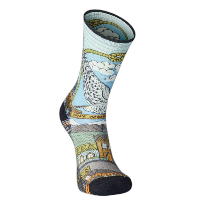 Skarpety Smartwool 01739 Hike Light /  wielokolorowy