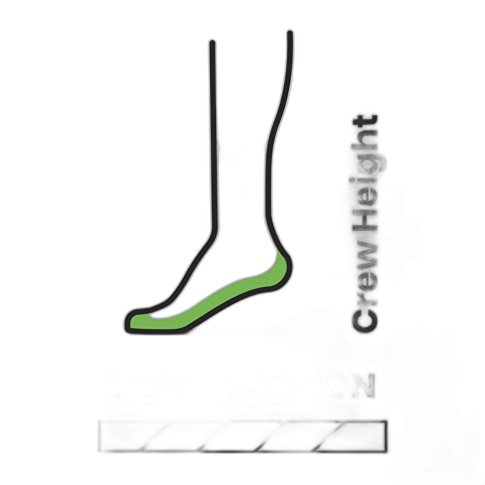 Skarpety Smartwool 1586 Hike Light /  beżowy