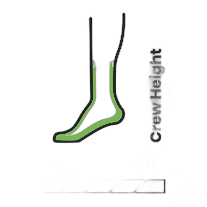 Skarpety Smartwool 1646 Hike Classic /  zielony