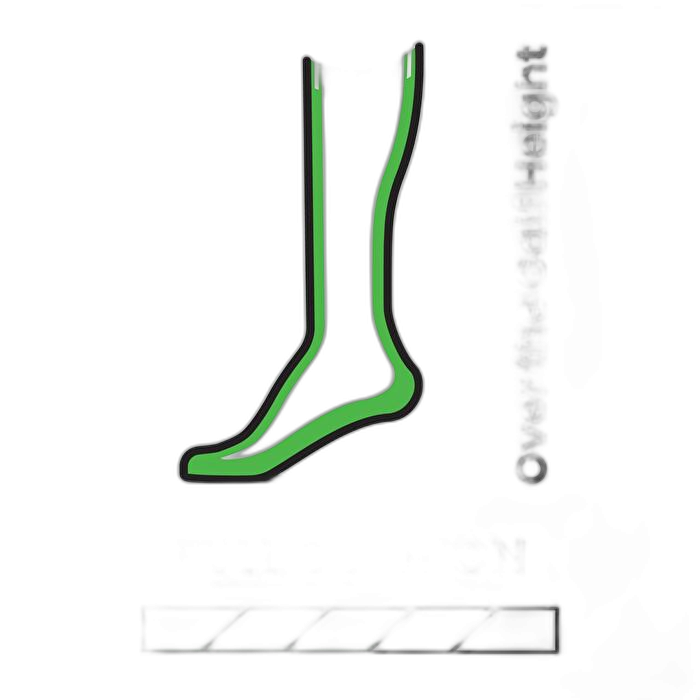 Skarpety Smartwool 2184 Wintersport Kids /  wielokolorowy