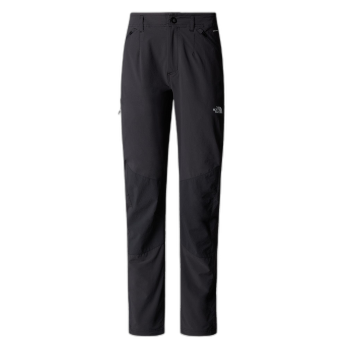 Spodnie damskie THE NORTH FACE Speedlight /  szary