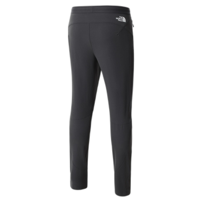 Spodnie męskie THE NORTH FACE AO Woven /  szary