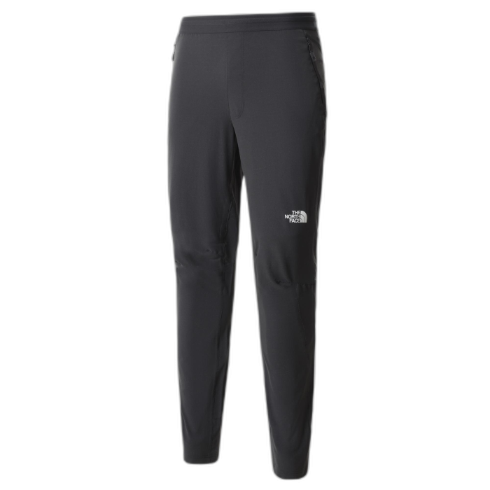 Spodnie męskie THE NORTH FACE AO Woven /  szary