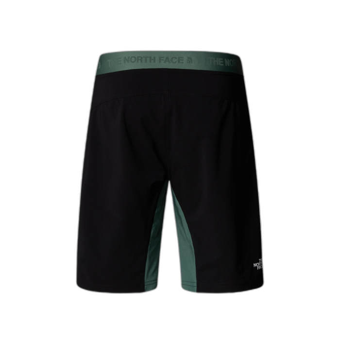 Szorty męskie THE NORTH FACE Felik Slim /  zielony