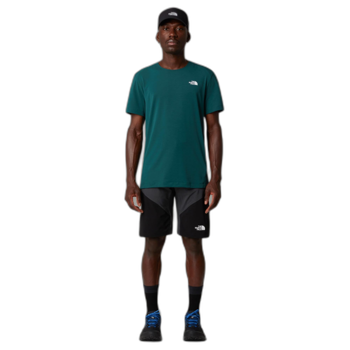 Szorty męskie THE NORTH FACE Felik Slim /  szary