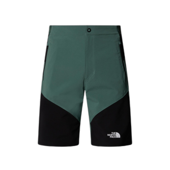 Szorty męskie THE NORTH FACE Felik Slim /  zielony