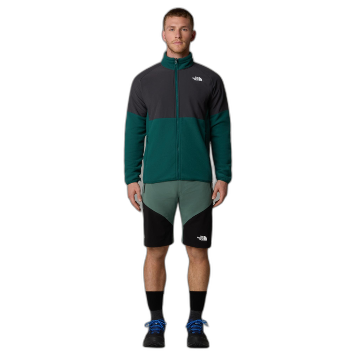Szorty męskie THE NORTH FACE Felik Slim /  zielony