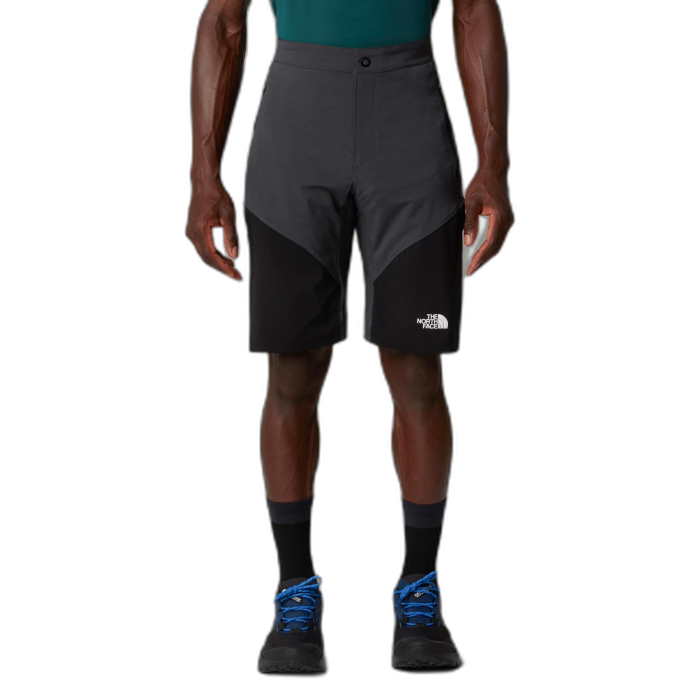 Szorty męskie THE NORTH FACE Felik Slim /  szary