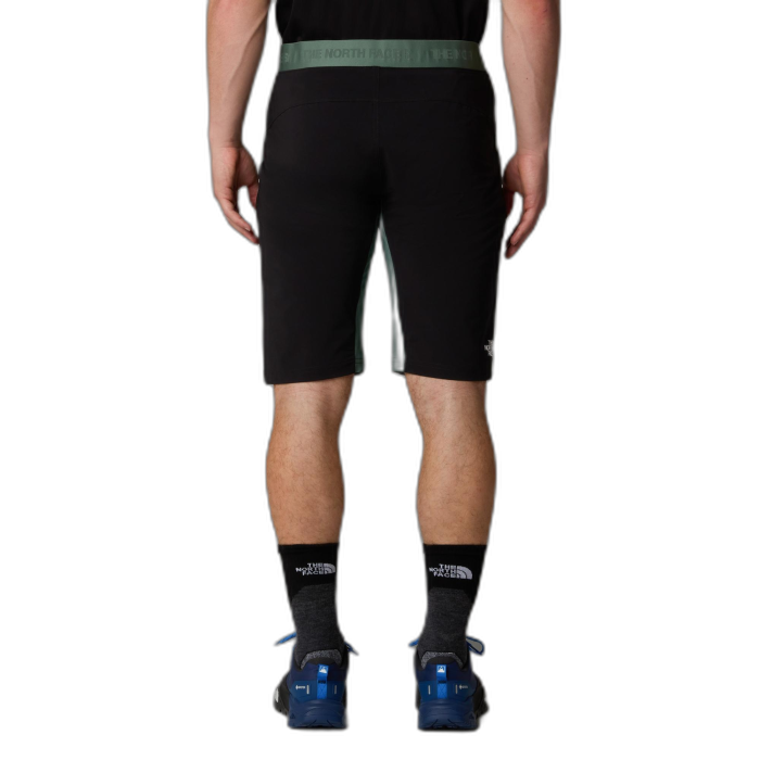Szorty męskie THE NORTH FACE Felik Slim /  zielony