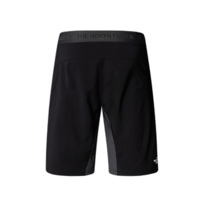 Szorty męskie THE NORTH FACE Felik Slim /  szary