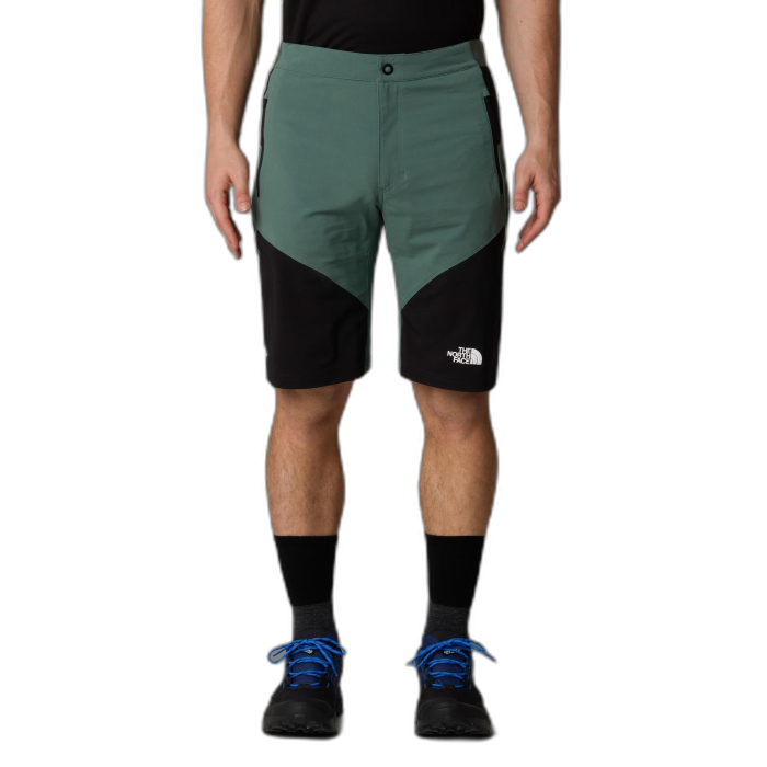 Szorty męskie THE NORTH FACE Felik Slim /  zielony