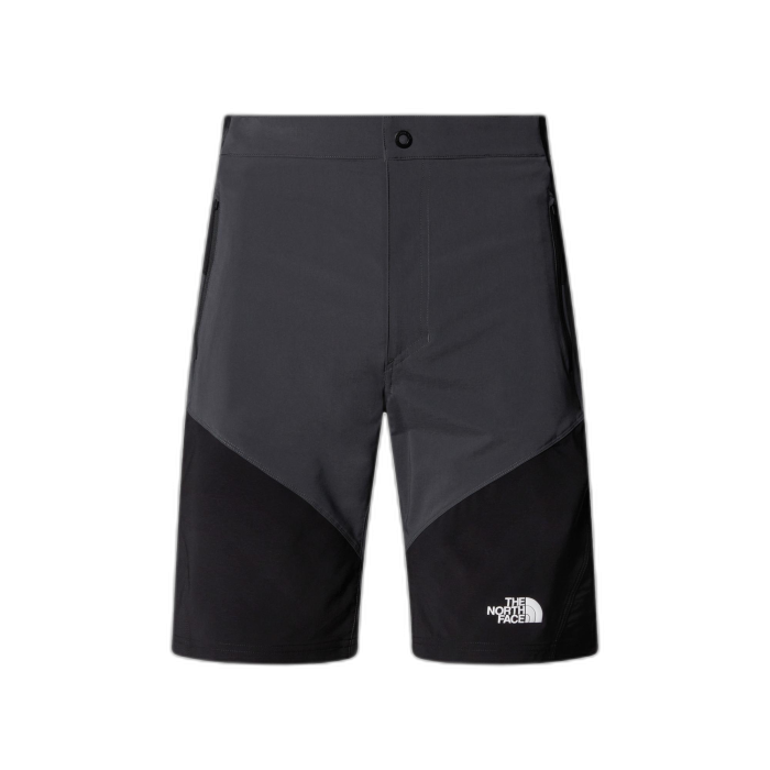 Szorty męskie THE NORTH FACE Felik Slim /  szary