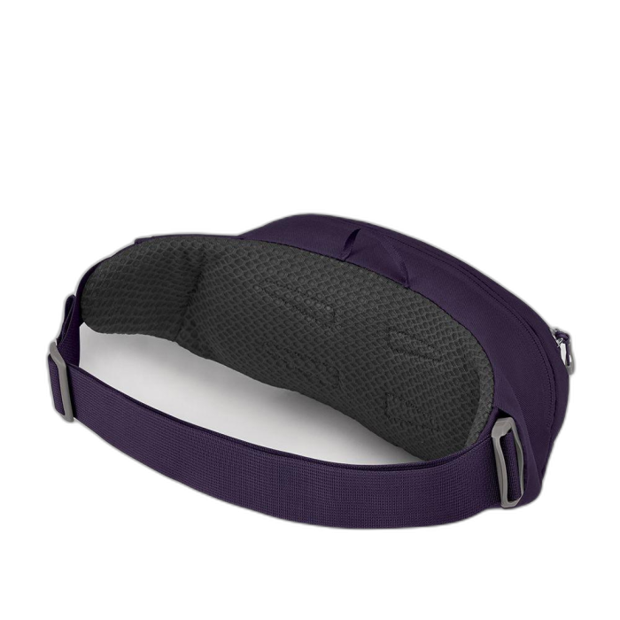 Torebka OSPREY Daylite Waist /  fioletowy