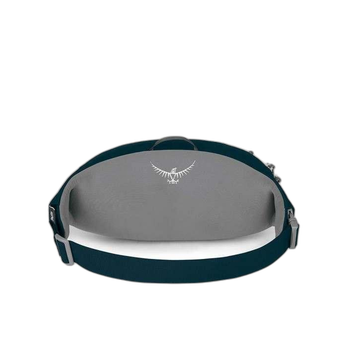 Torebka OSPREY Daylite Waist /  niebieski