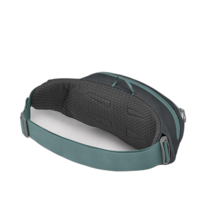 Torebka OSPREY Daylite Waist /  wielokolorowy